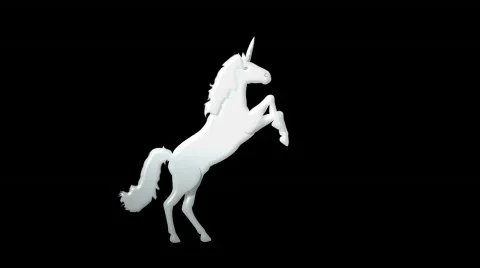 Unicorn Rearing Stock Footage 782574