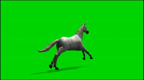 Unicorn run  - seperated on green screen 動画素材 33736058