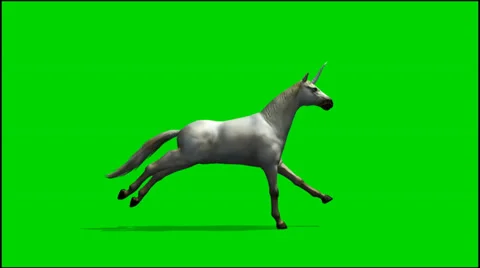 Unicorn run  - seperated on green screen Stock Footage