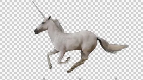 Unicorn running. Animal isolated and inc... | Stock Video | Pond5 Unicorn running. Animal isolated and inc... | Stock Video | Pond5