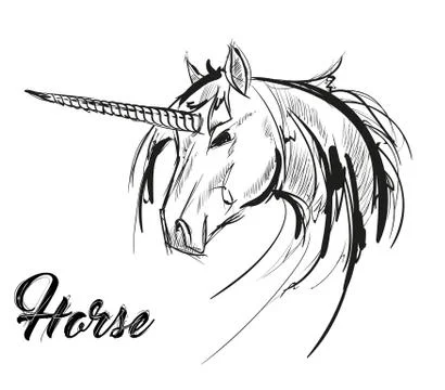 Unicorn sketch icon. Vector magic or mystic fairy horse horn and waving mane. Stock Illustration