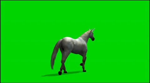 Unicorn walk  - seperated on green screen 動画素材 33736112