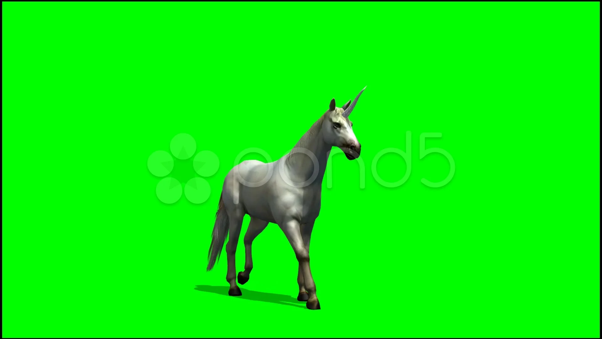 Unicorn Walk Seperated On Green Scree Stock Video Pond5