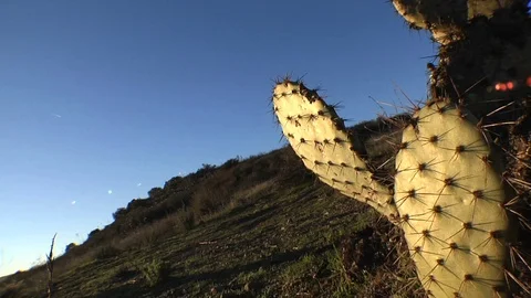 Unicycle Man 스톡 동영상 72261028