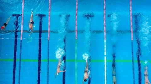 Unidentifiable swimmers train in the pool. Overhead view Stock Footage 107801050