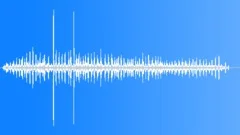 Unidentified Bird Calls Sound Effect