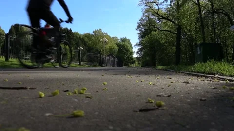 An unidentified cyclists is leaving on a wide empty avenue in the park. Stock Footage 91232415