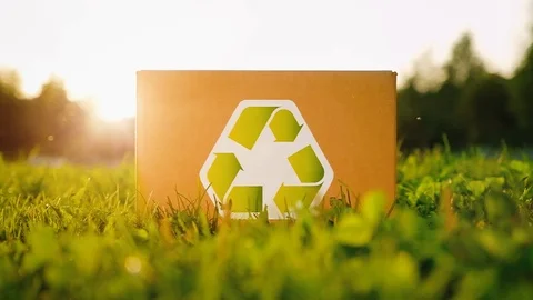 Unidentified man puts a box marked as recyclable raw materials on the grass Vídeos de archivo 116760388