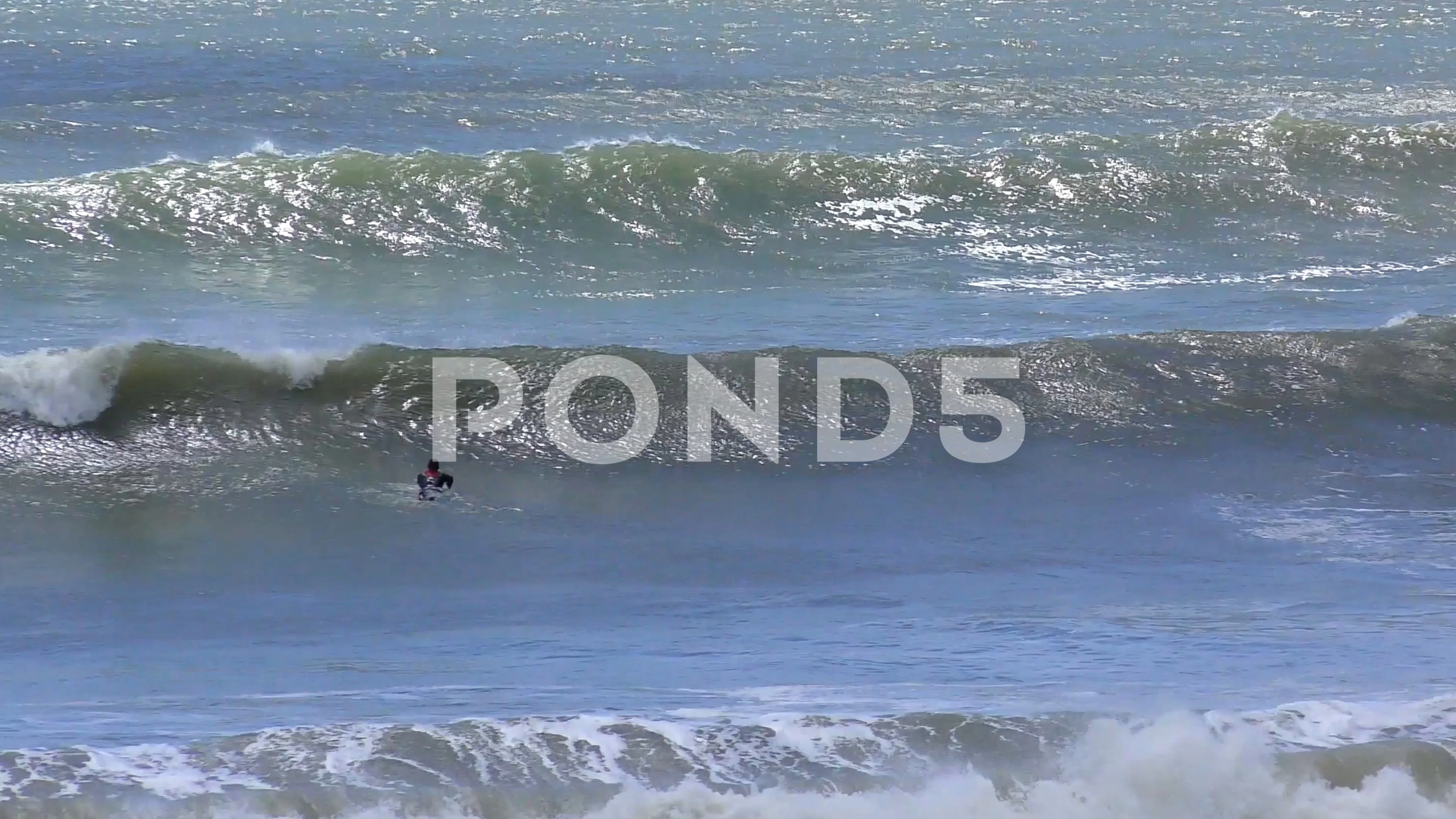 Ano Nuevo Surfing