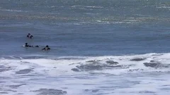 Ano Nuevo Surfing