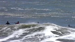 Ano Nuevo Surfing