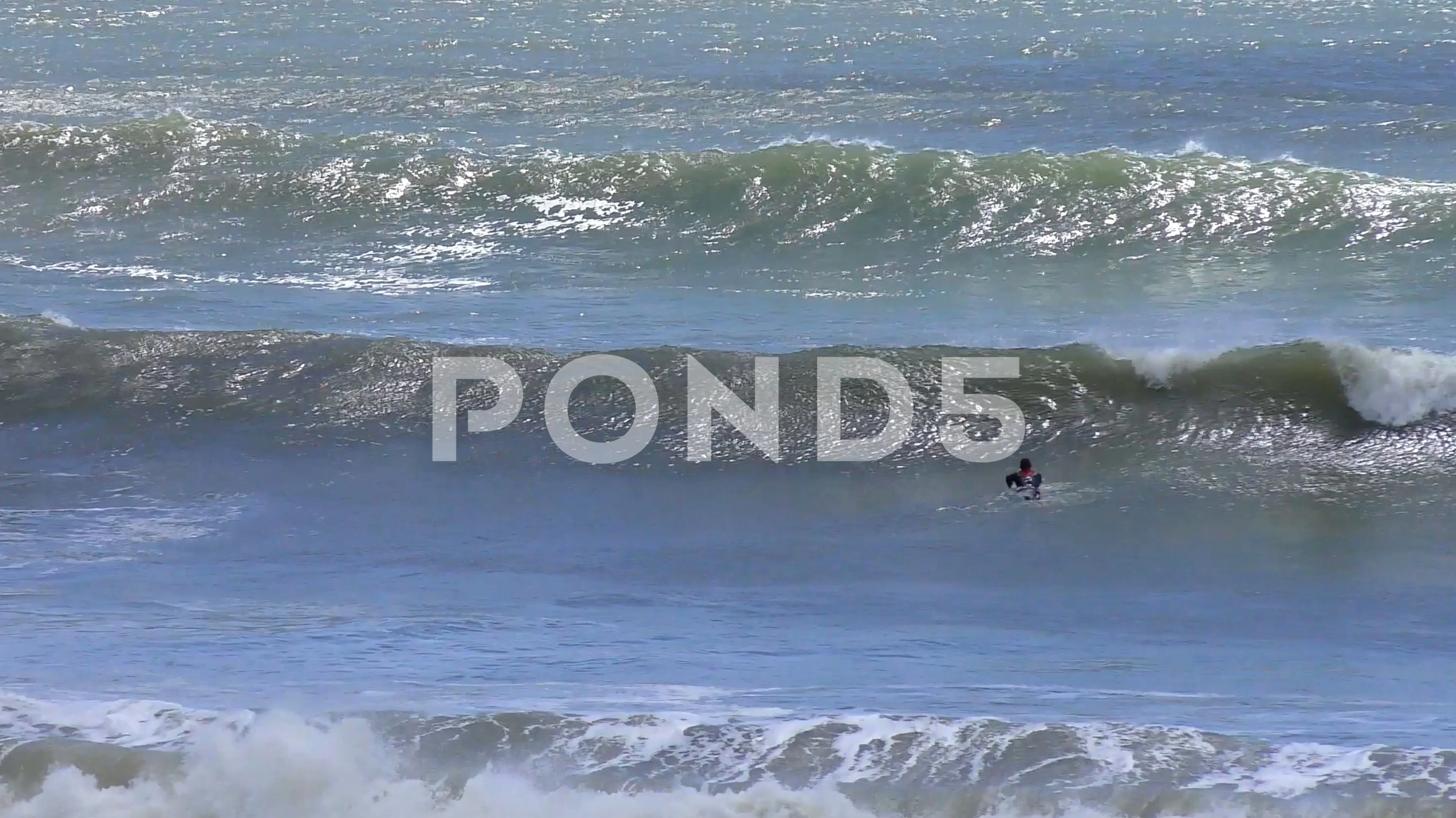 Ano Nuevo Surfing