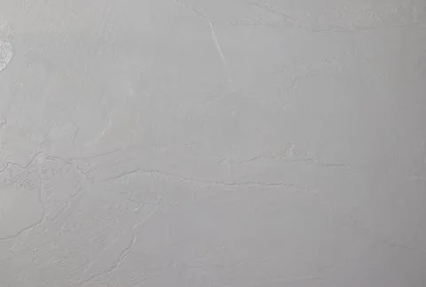 Uniform gradientless gray background throughout the field of the frame. Stock Photos