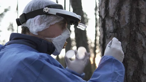 A uniformed ecologist takes a sample of tree bark into a test tube 스톡 동영상 152218970