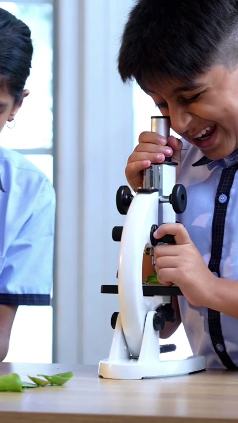 Uniformed Indian students in class room, studying science using microscope Stock Footage 342844113
