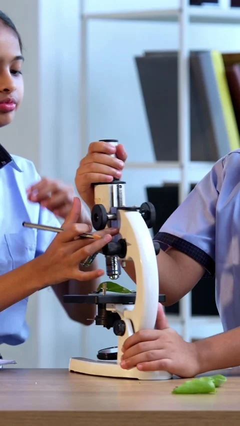 Uniformed Indian students in class room, studying science using microscope Stock Footage 342844118
