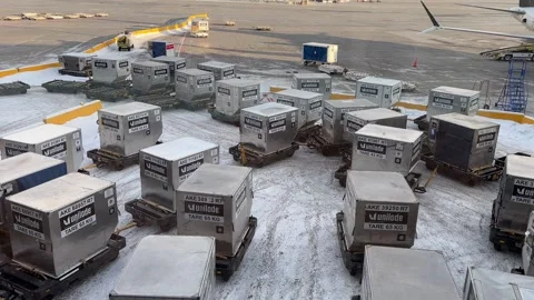 Unilode AKE containers for aviation shipping 스톡 동영상 329897330
