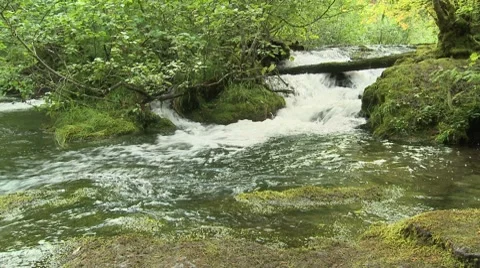 Union Creek 01 Video stock 7748320