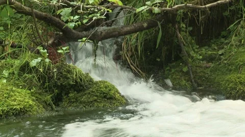 Union Creek 03 Stock Footage 7748363