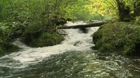 Union Creek 04 Stock Footage 7748705