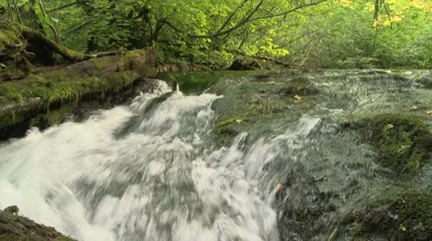 Union Creek 07 Video stock 7748669