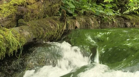 Union Creek 10 Video stock 7748528