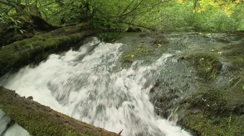 Union Creek 12 Stock Footage 7748652