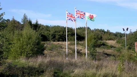 Union Jacks and Welsh flag flying and waving in the breeze  Vidéo 162680450
