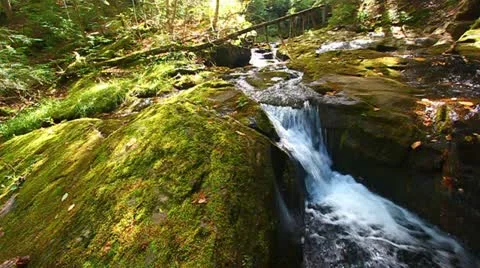 Union River Gorge Cascades Stock-Footage 21266321