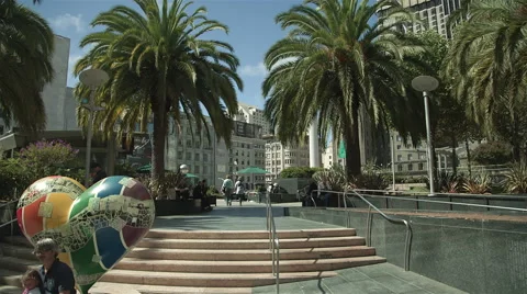 Union square palm trees Stock Footage 44951265