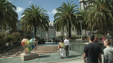 Union square palm trees Stock Footage 44951450