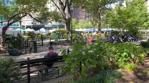 Union Square Park - B Stock Footage 130280196