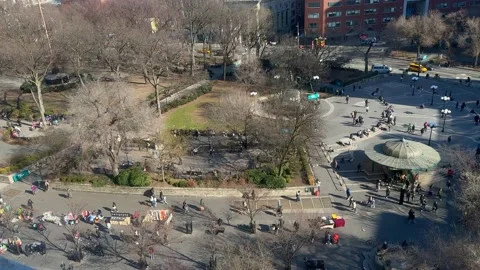 Union Square Park during fall season, New York City - 4K Prores 422 HQ Stock Footage 237525248