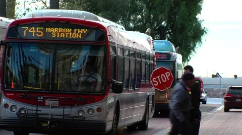 Union station buses Stock Footage 40546004