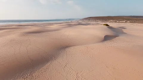 Unique aerial view of sandy dunes along the coast of Portugal Stock Footage 312329030