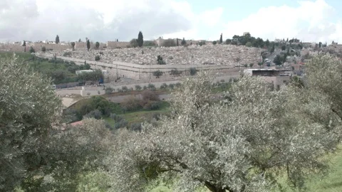 A unique Al-Aqsa Mosque pan view Video stock 86294363