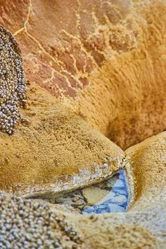 Unique alkaline and rock formations in geyser of Yellowstone Stock Photos