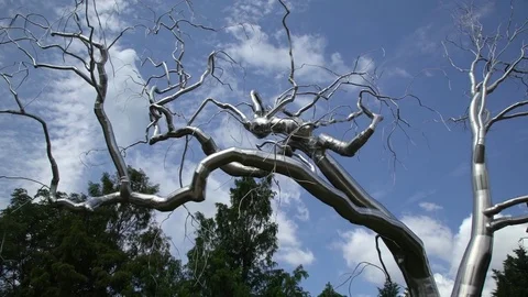 Unique and curious no leaves metallic tree in Washington, DC Stock Footage 79606091