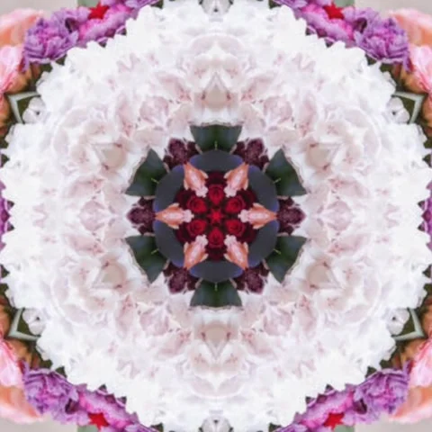 Unique and luxurious Floral Pattern Kaleidoscope Circles Geometry Seamless Stock Footage 227527527