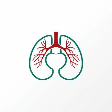 Unique and simple lungs and love in line art or out muscle nerves image Stock Illustration