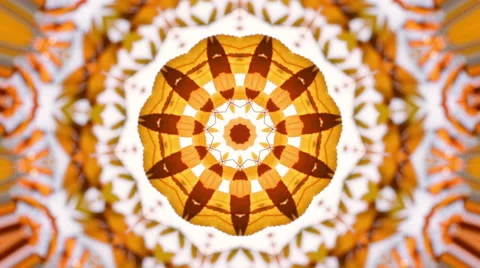 Unique animated kaleidoscopic pattern with autumn foliage. Vídeos de archivo 57684146