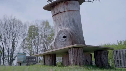 Unique Anthropomorphic Tree Trunk Hive on Platform Stock Footage 328633338