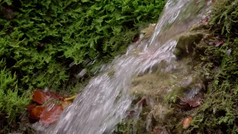 The unique Bigar waterfall full of green moss, Romania 動画素材 141855244