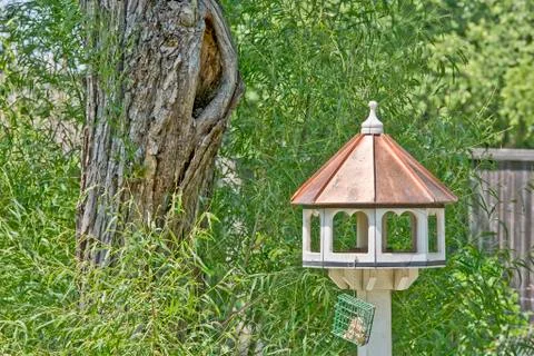 Unique Bird Feeder Stock Photos