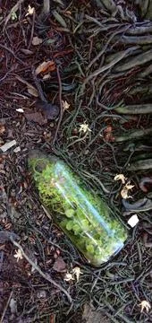 Unique bottle Photos