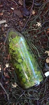 Unique bottle Foto stock