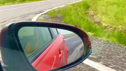 A unique case. Amazing fly drove with us for almost 20 km on car mirror Stock Footage 251125308