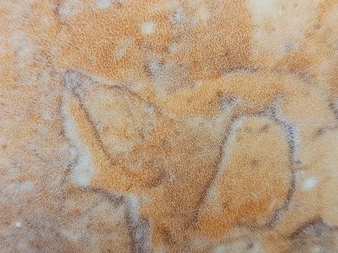 Unique Ceramic Texture Background, Abstract Rustic Surface Pattern 스톡 사진