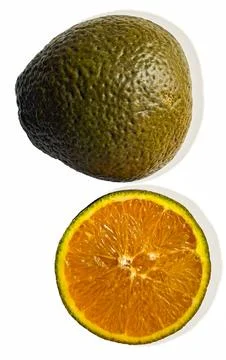 Unique chocolate orange known as Choco Navelin with a bright color and unus.. Foto stock