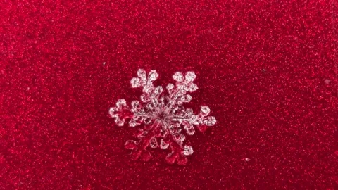 Unique close-up of melting snowflake Stock Footage 230029635
